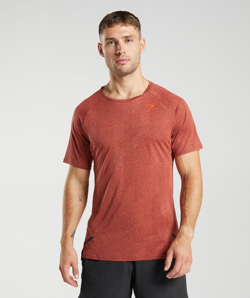 Men's Gymshark Apex T-Shirts Burgundy | USA 6798-BCEGH