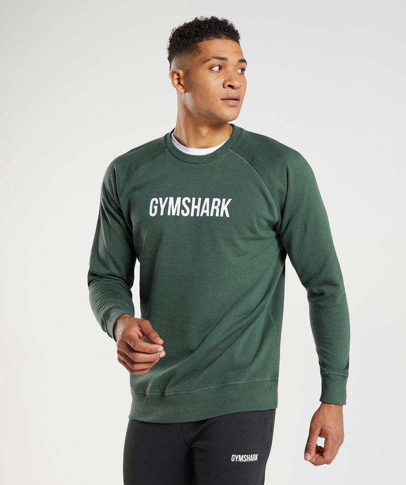 Men's Gymshark Apollo Crew T-Shirts Green | USA 7568-FSZAI