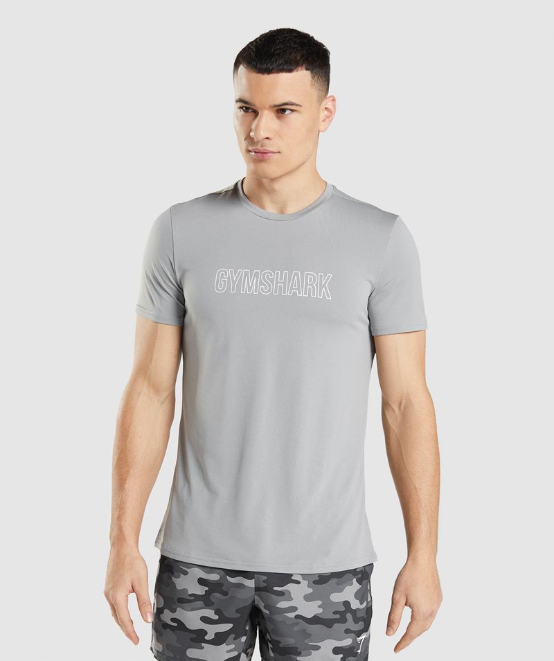 Men's Gymshark Arrival Graphic T-Shirts Grey | USA 2647-CNZXR