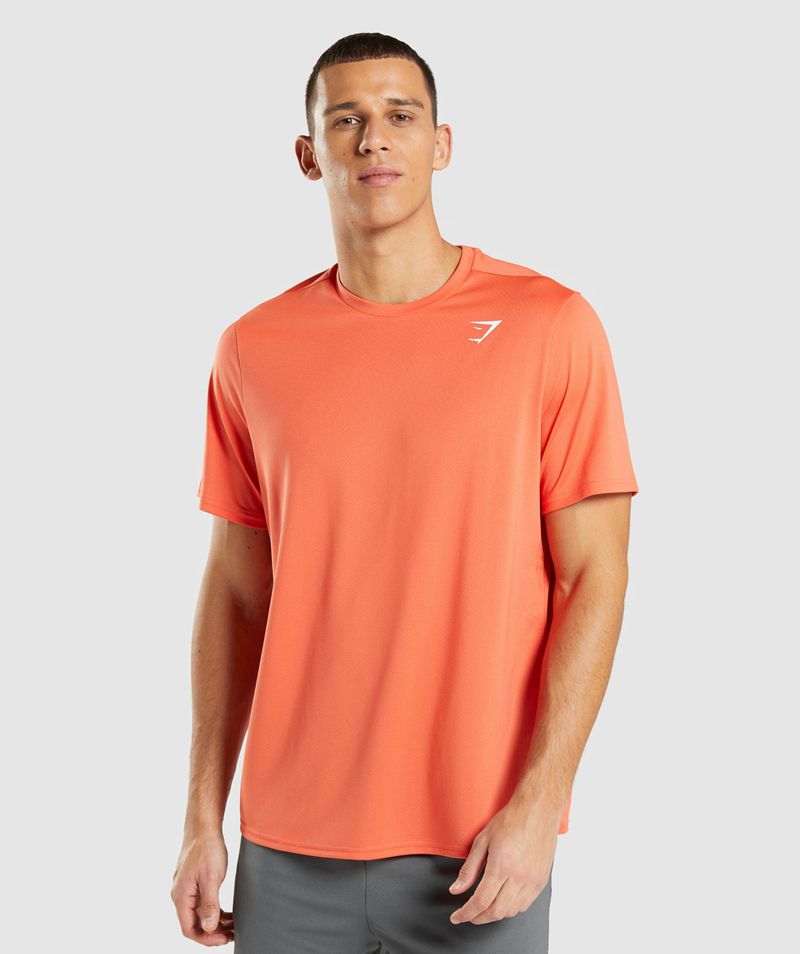 Men's Gymshark Arrival Regular Fit T-Shirts Orange | USA 2017-TLEZH