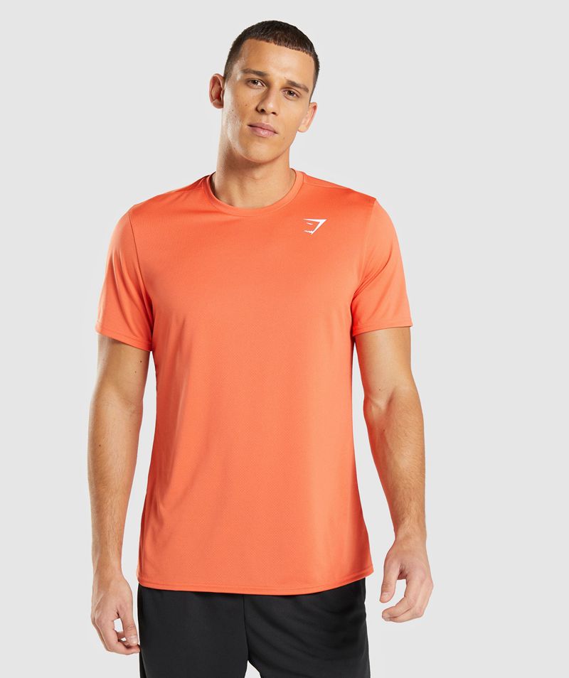 Men's Gymshark Arrival T-Shirts Orange | USA 5728-VJBLH