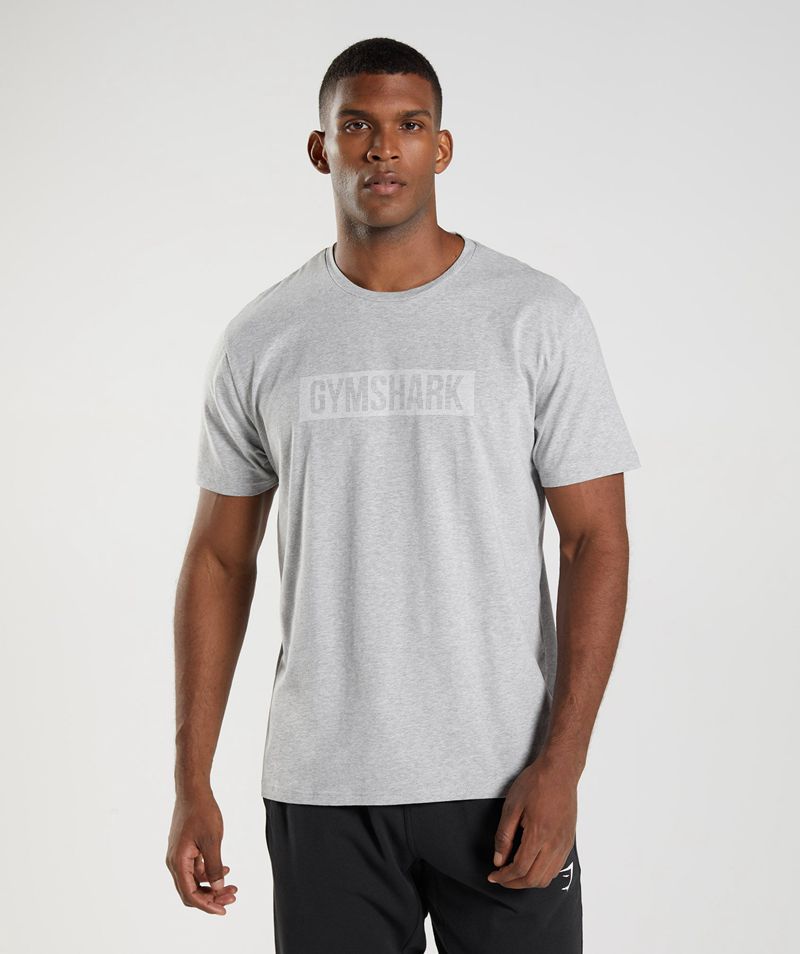 Men's Gymshark Block T-Shirts Light Grey | USA 8901-XWSLG