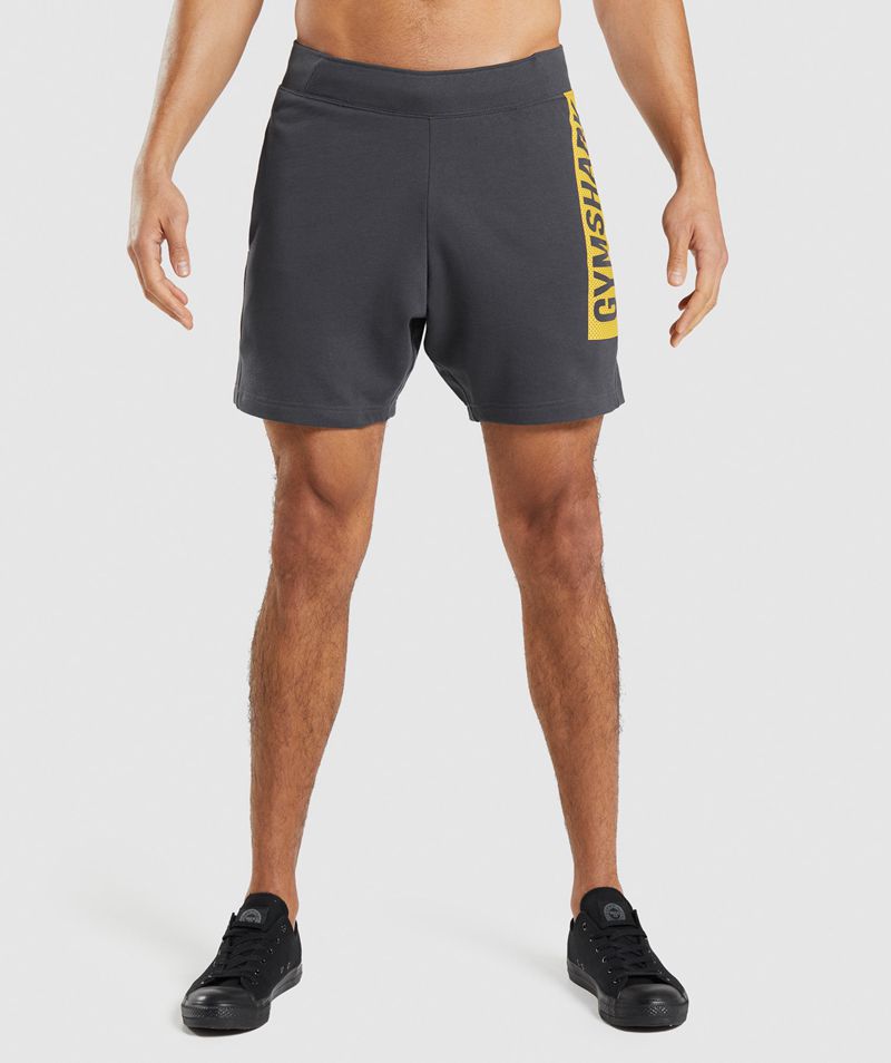 Men's Gymshark Bold Shorts Grey | USA 4180-PBSCY