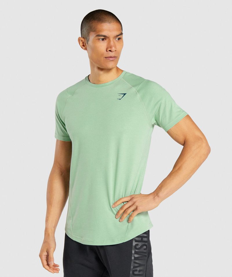 Men's Gymshark Bold T-Shirts Green | USA 4593-NPYUB