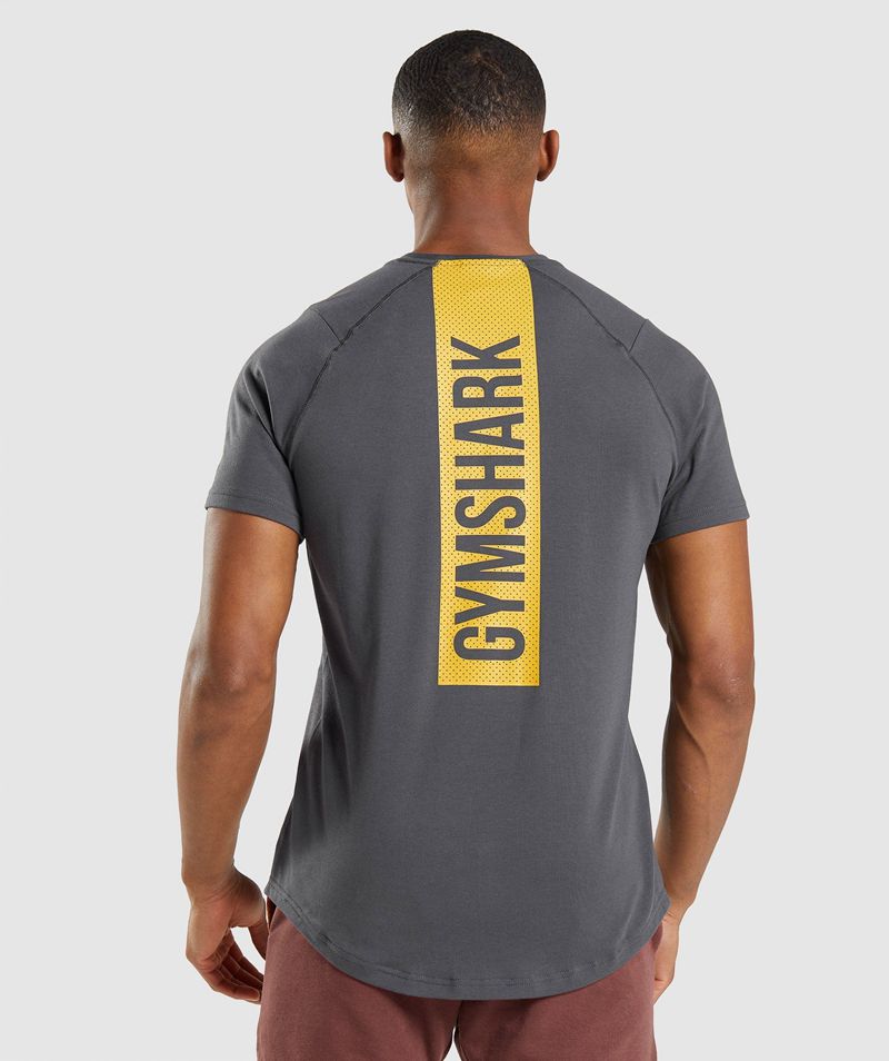 Men's Gymshark Bold T-Shirts Grey | USA 0498-UTKFV