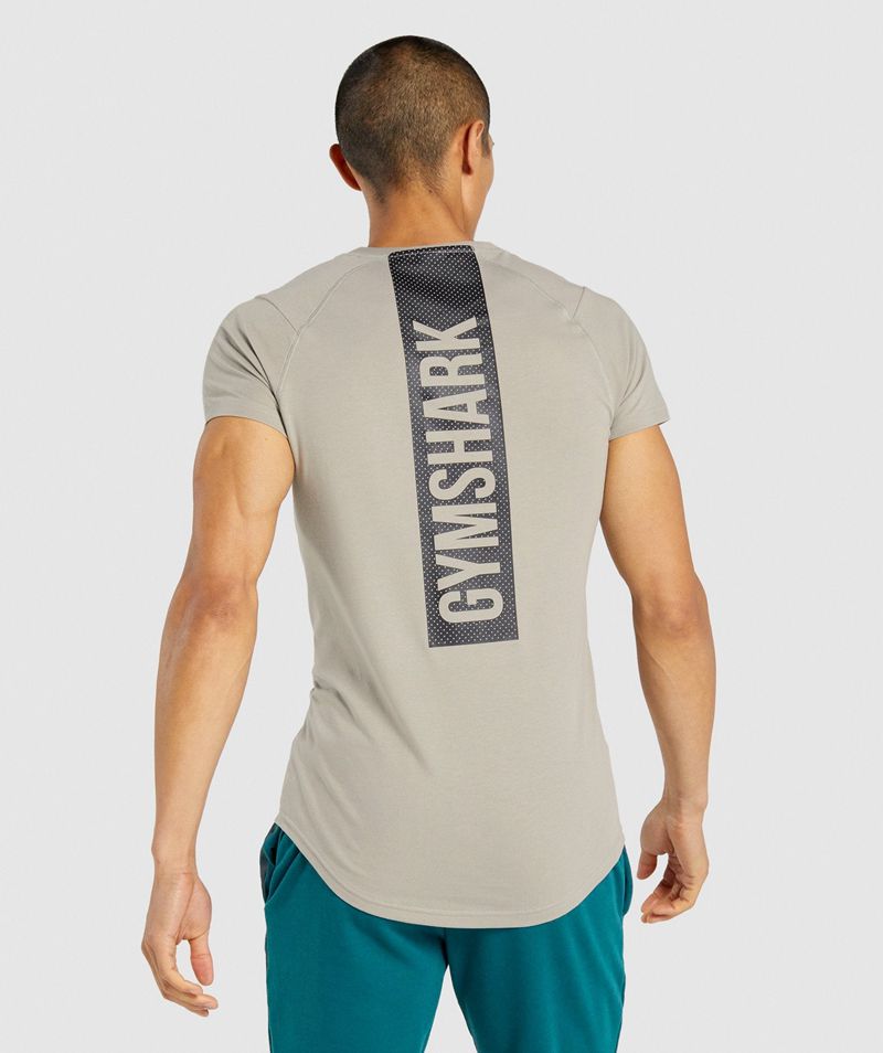 Men's Gymshark Bold T-Shirts Grey | USA 1048-LZXFW