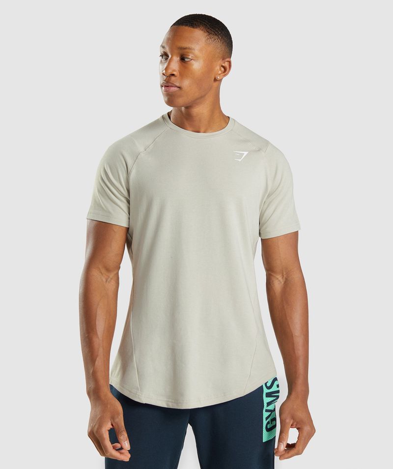 Men's Gymshark Bold T-Shirts Grey | USA 8796-QFCBE