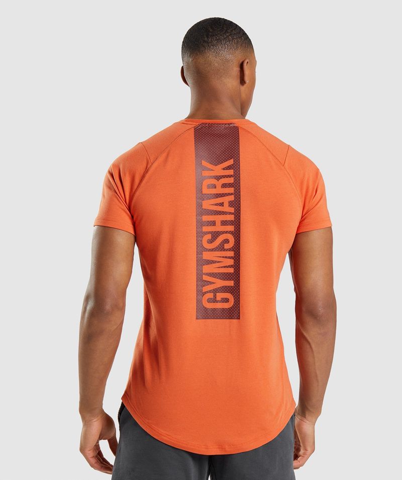 Men's Gymshark Bold T-Shirts Orange | USA 2381-SBKTA