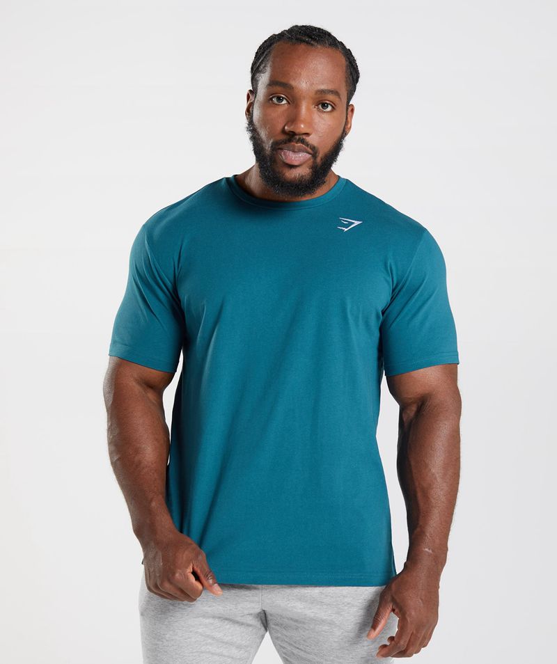 Men's Gymshark Crest T-Shirts Blue | USA 9217-IOUVQ