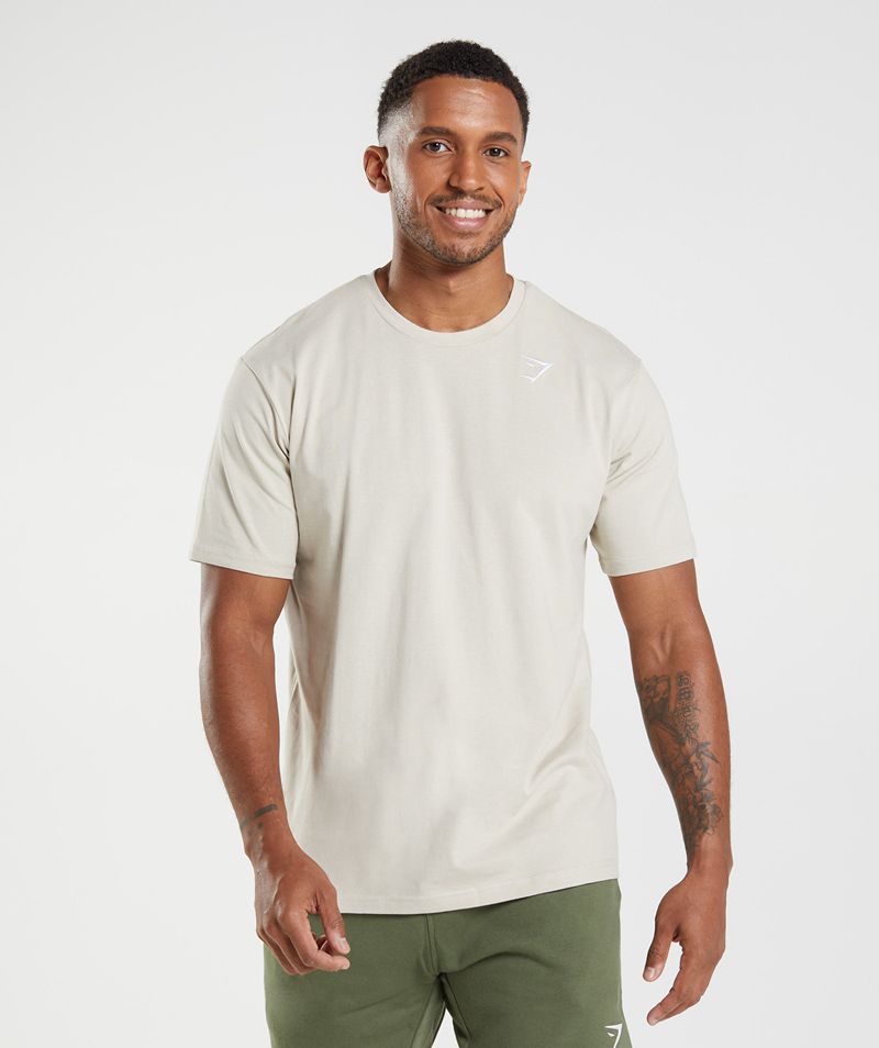 Men's Gymshark Crest T-Shirts Grey | USA 8123-SOUFV