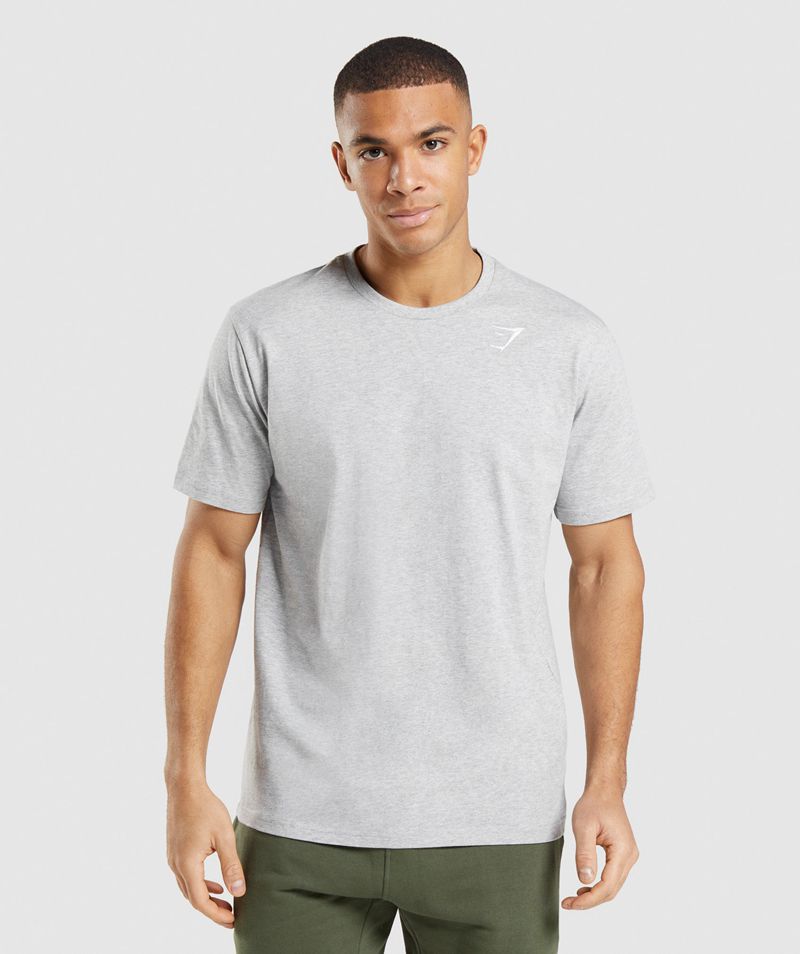 Men's Gymshark Crest T-Shirts Light Grey | USA 4201-FSHZI