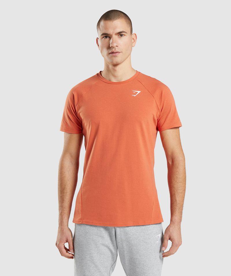 Men's Gymshark Critical T-Shirts Orange | USA 2596-AYZDJ