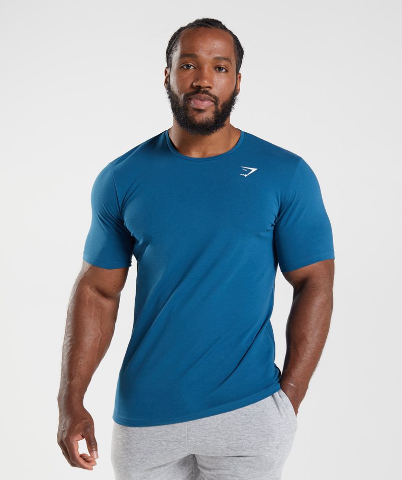 Men's Gymshark Essential T-Shirts Blue | USA 2180-GIVCL