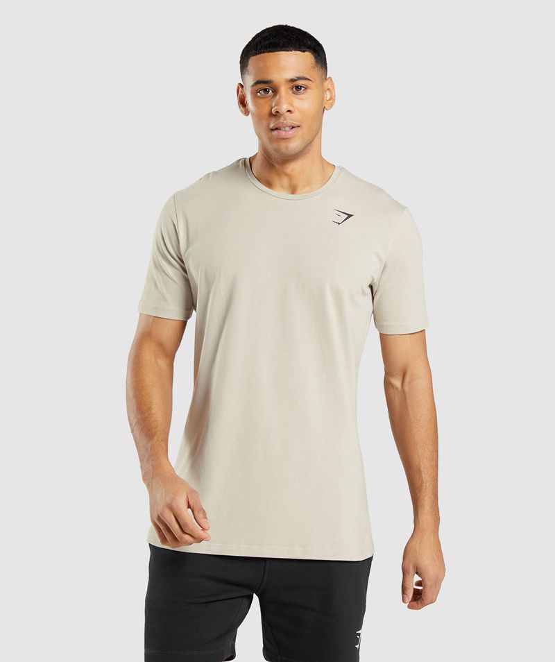 Men's Gymshark Essential T-Shirts Grey | USA 6270-TORDP