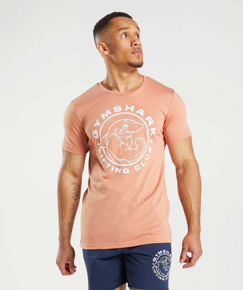 Men's Gymshark Legacy T-Shirts Pink | USA 4013-XNZRL