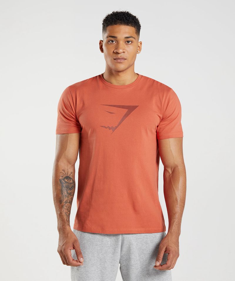 Men's Gymshark Sharkhead Infill T-Shirts Red | USA 8320-QIKAF