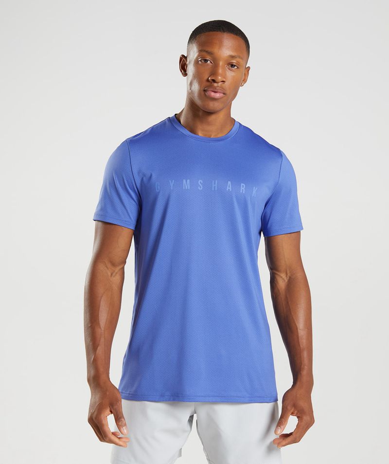 Men's Gymshark Sport Stripe T-Shirts Blue | USA 1345-ADJVP