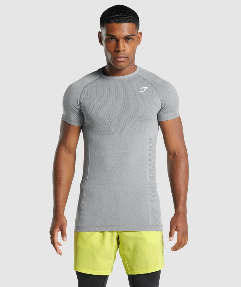 Men's Gymshark Vital Light Seamless T-Shirts Grey | USA 0432-WKDEJ