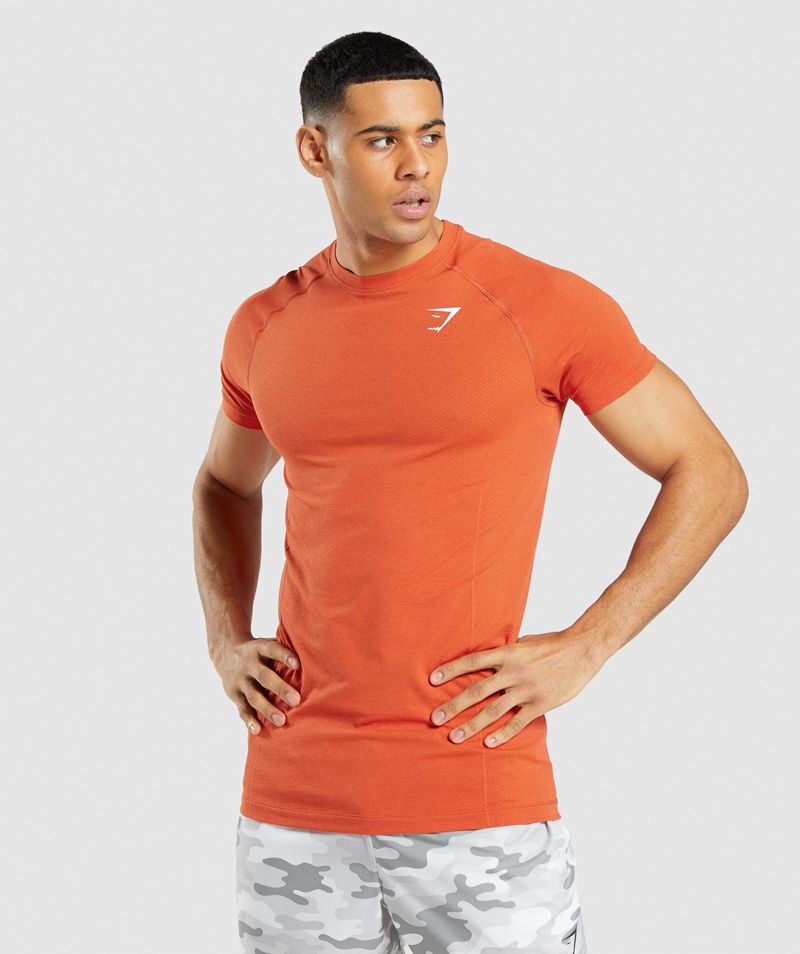 Men's Gymshark Vital Light Seamless T-Shirts Orange | USA 8317-TIBQG