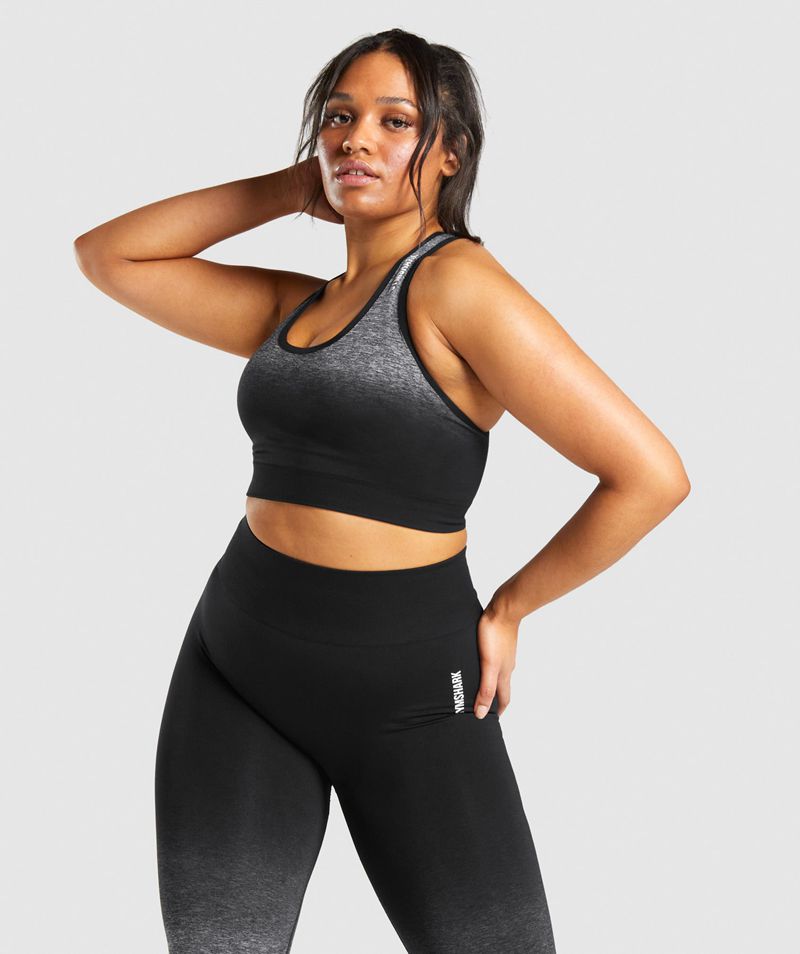 Women's Gymshark Adapt Ombre Seamless Sports Bra Black | USA 2438-CHOUZ