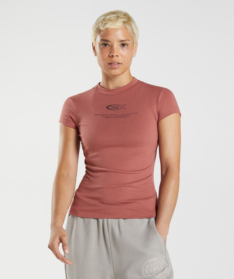 Women's Gymshark Gs10 Year Body Fit T-Shirts Rose | USA 0629-VAXRS