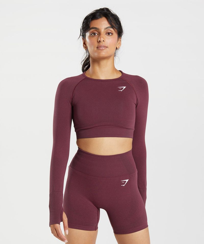 Women's Gymshark Vital Seamless 2.0 Crop Tops Burgundy | USA 0459-TDWPE