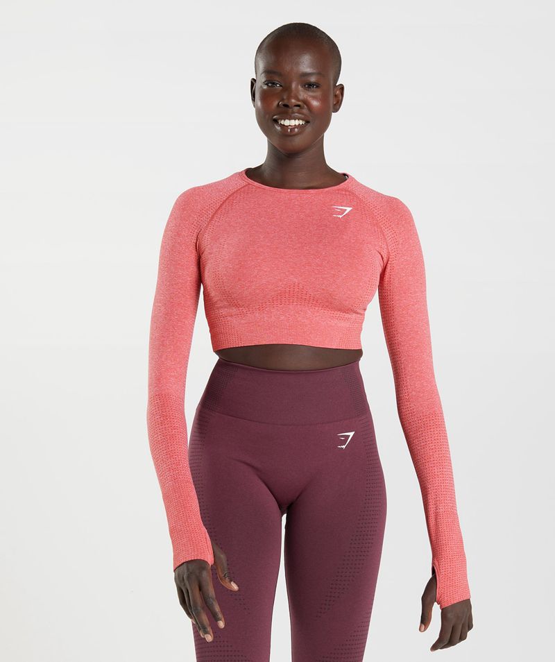 Women's Gymshark Vital Seamless 2.0 Crop Tops Red | USA 2398-GEVZW