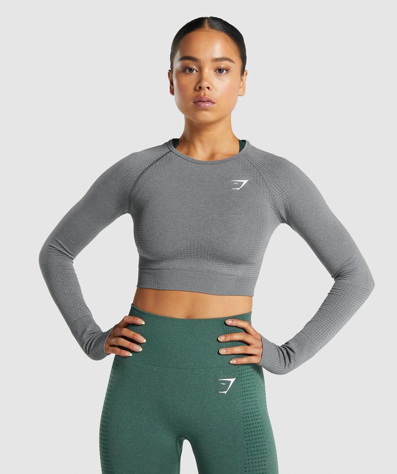 Women's Gymshark Vital Seamless 2.0 Long Sleeve Crop Tops Grey | USA 6271-NQCRA