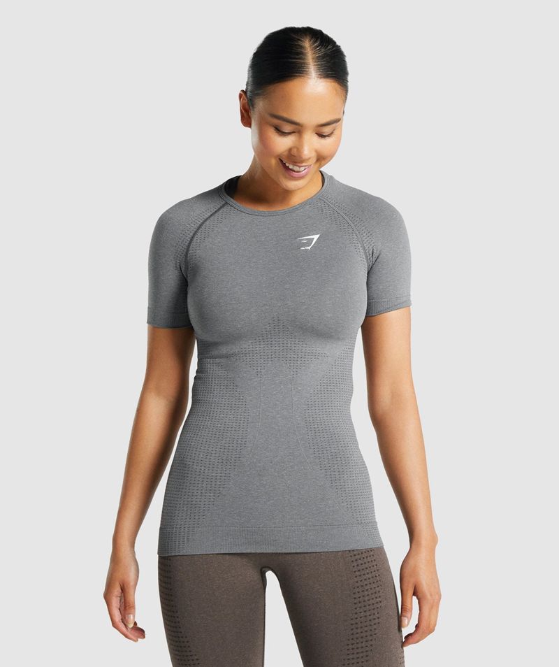 Women's Gymshark Vital Seamless 2.0 T-Shirts Grey | USA 0741-HVLZO