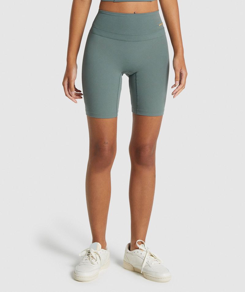 Women's Gymshark Whitney Cycling Shorts Grey | USA 1098-TEAHJ