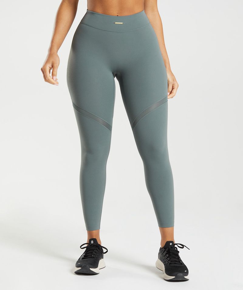 Women's Gymshark Whitney Mesh Leggings Grey | USA 1892-YQZAF