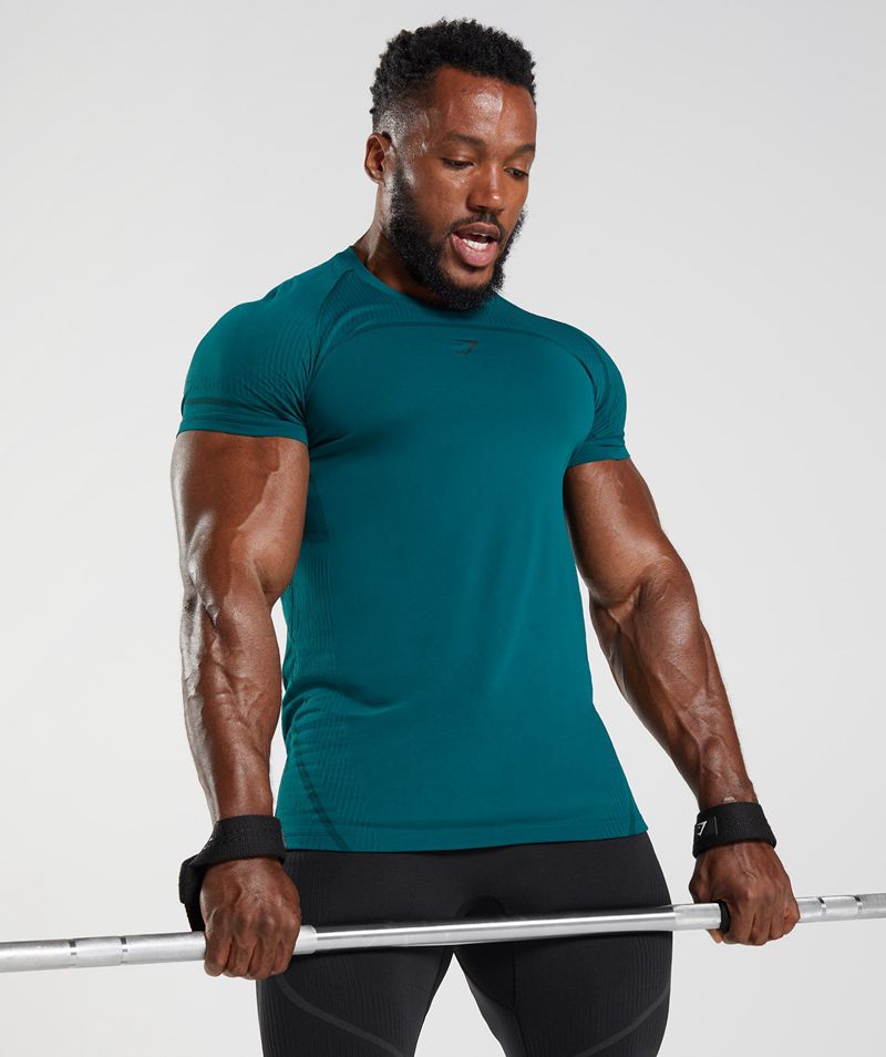 Men's Gymshark 315 Seamless T-Shirts Turquoise | USA  7516-ZSQUI