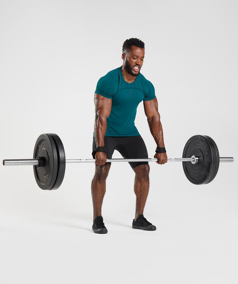 Men's Gymshark 315 Seamless T-Shirts Turquoise | USA  7516-ZSQUI