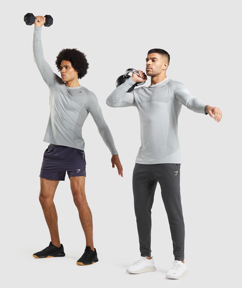 Men's Gymshark Apex Seamless Long Sleeve T-Shirts Light Grey | USA  1248-IEJAM