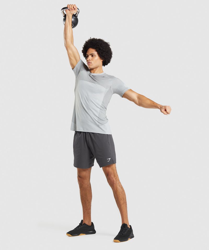 Men's Gymshark Apex Seamless T-Shirts Light Grey | USA  7294-TZWAM