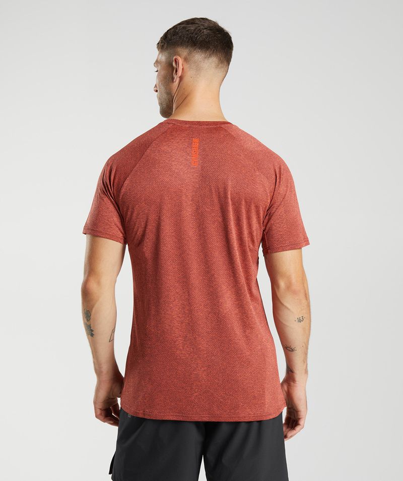 Men's Gymshark Apex T-Shirts Burgundy | USA  6798-BCEGH