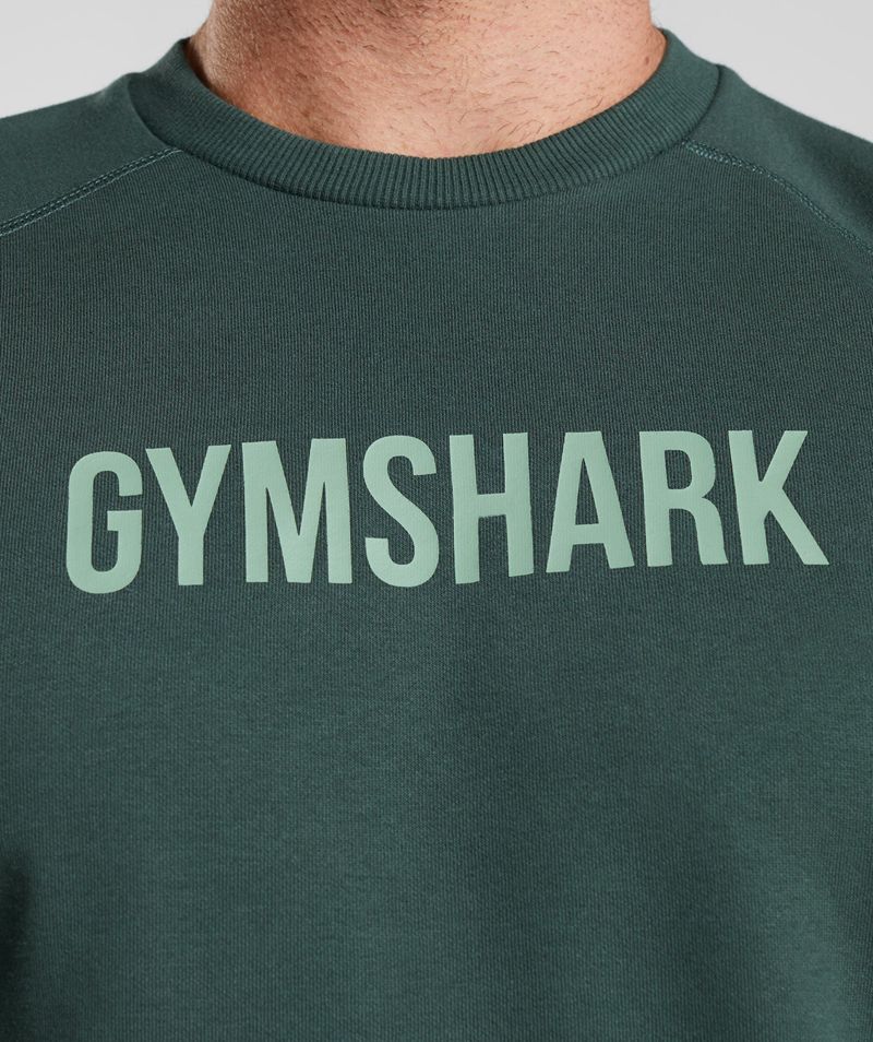 Men's Gymshark Apollo Crew T-Shirts Green | USA  7143-DSGQI