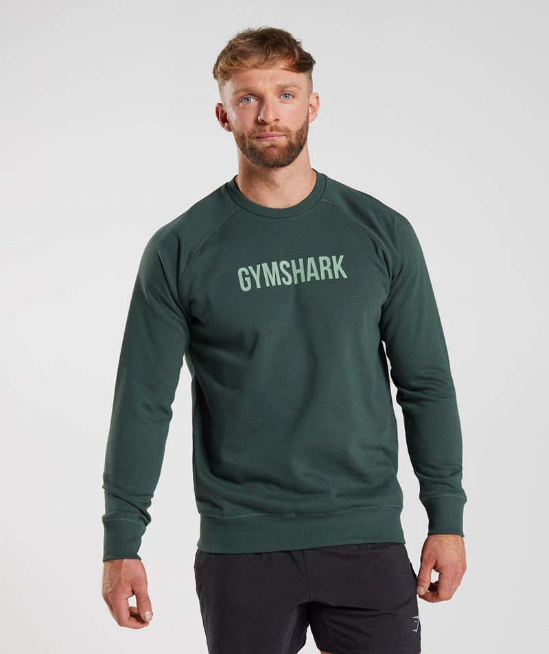 Men\'s Gymshark Apollo Crew T-Shirts Green | USA  7143-DSGQI