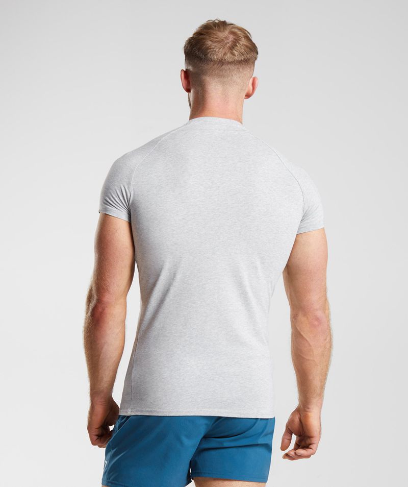 Men's Gymshark Apollo T-Shirts Light Grey | USA  5039-QLMSR