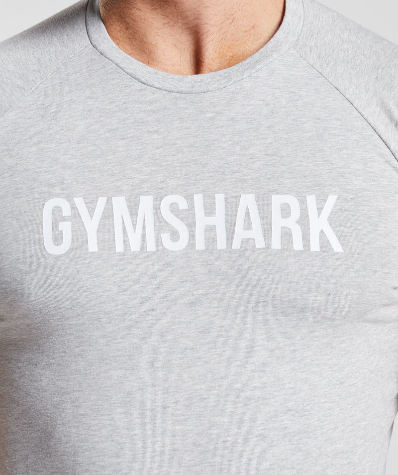 Men's Gymshark Apollo T-Shirts Light Grey | USA  5039-QLMSR