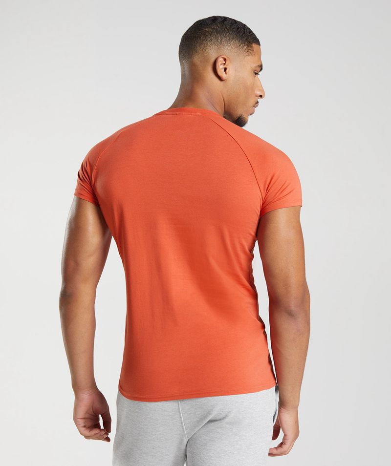 Men's Gymshark Apollo T-Shirts Red | USA  8043-NEHRJ