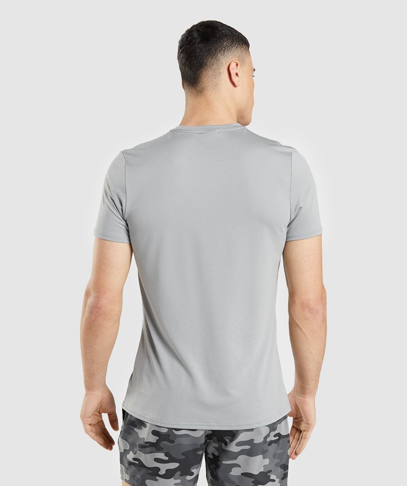 Men's Gymshark Arrival Graphic T-Shirts Grey | USA  2647-CNZXR