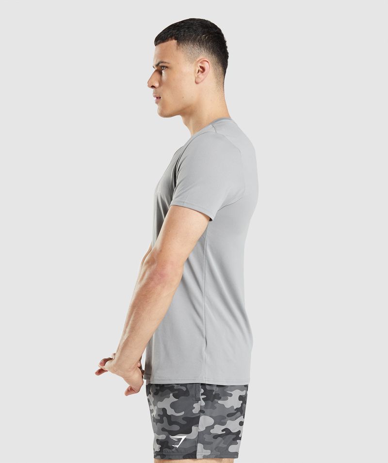 Men's Gymshark Arrival Graphic T-Shirts Grey | USA  2647-CNZXR