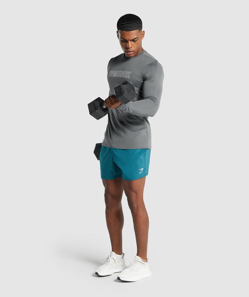 Men's Gymshark Arrival Long Sleeve Graphic T-Shirts Grey | USA  9245-WEQOJ