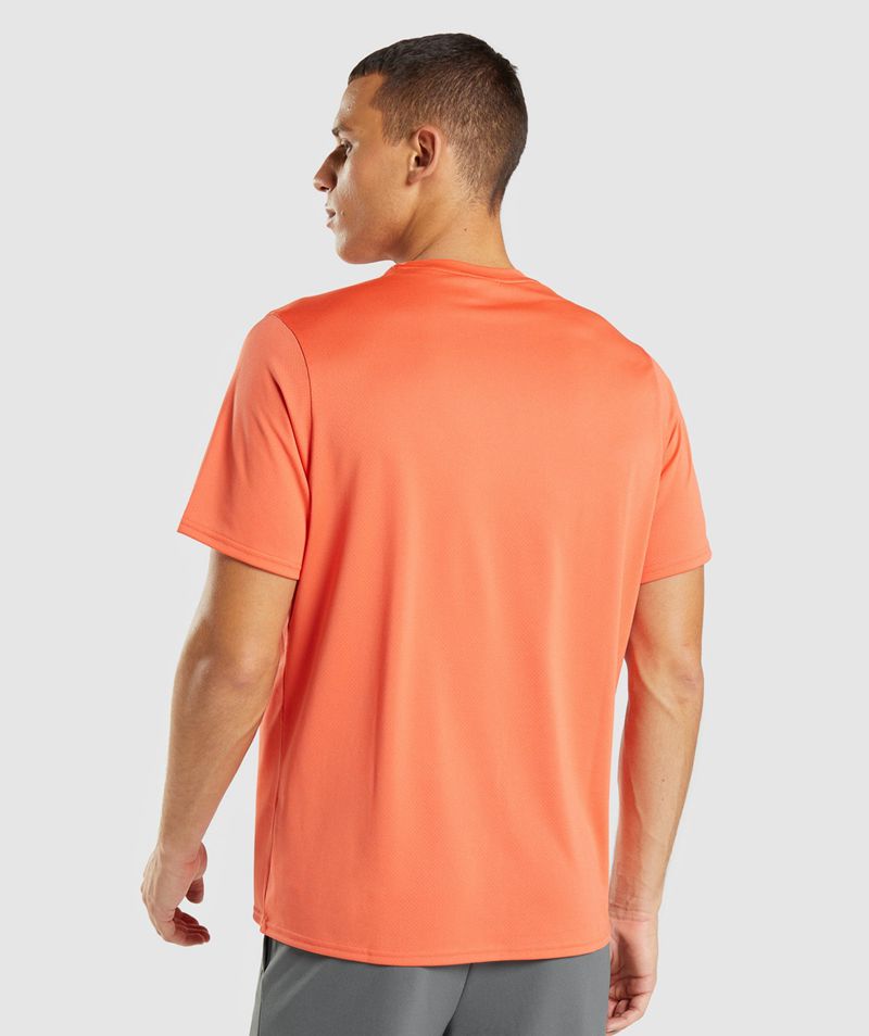 Men's Gymshark Arrival Regular Fit T-Shirts Orange | USA  2017-TLEZH