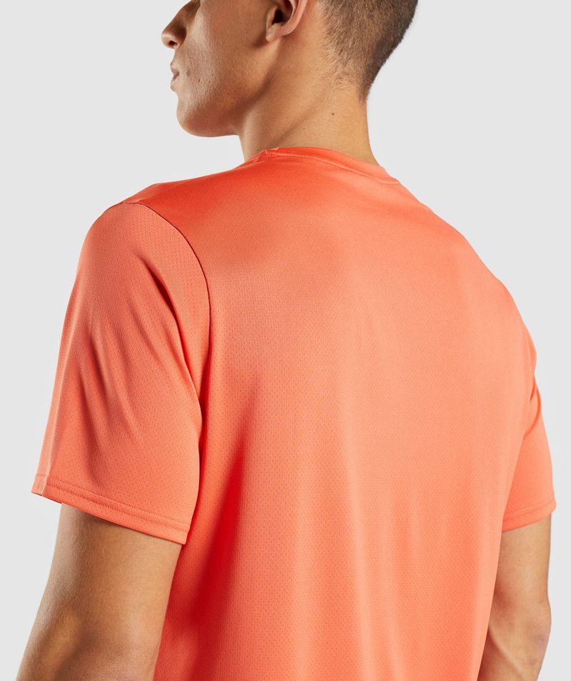 Men's Gymshark Arrival Regular Fit T-Shirts Orange | USA  2017-TLEZH