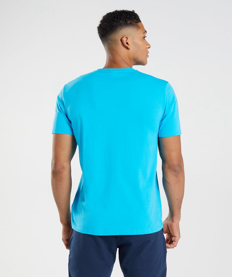 Men's Gymshark Block T-Shirts Blue | USA  2493-CKDYX