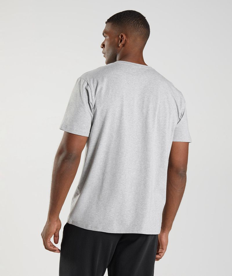 Men's Gymshark Block T-Shirts Light Grey | USA  8901-XWSLG