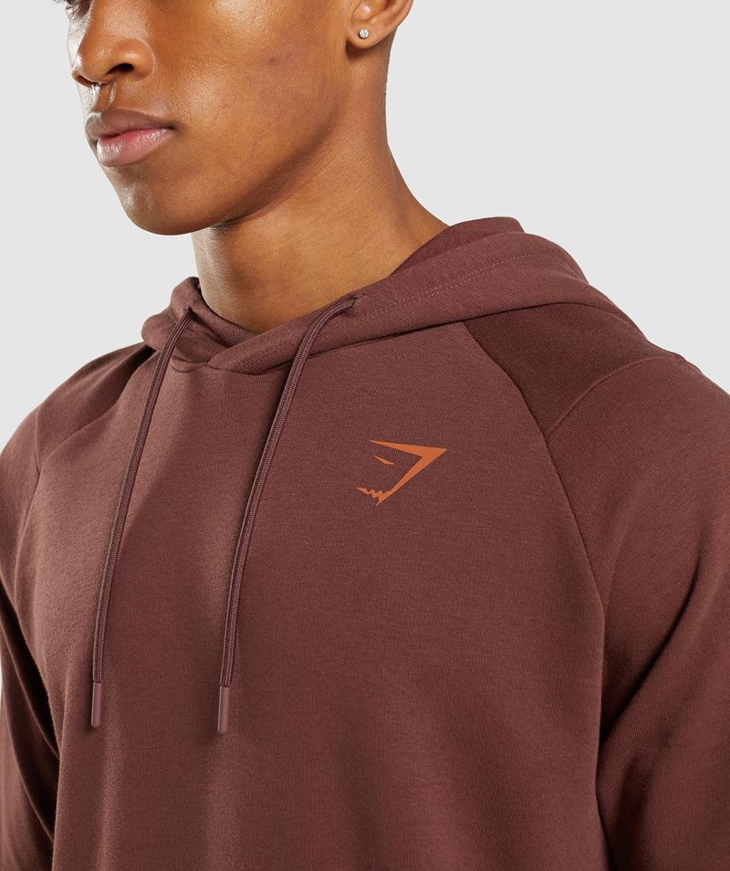 Men's Gymshark Bold Hoodie Burgundy | USA  2547-XUAWL