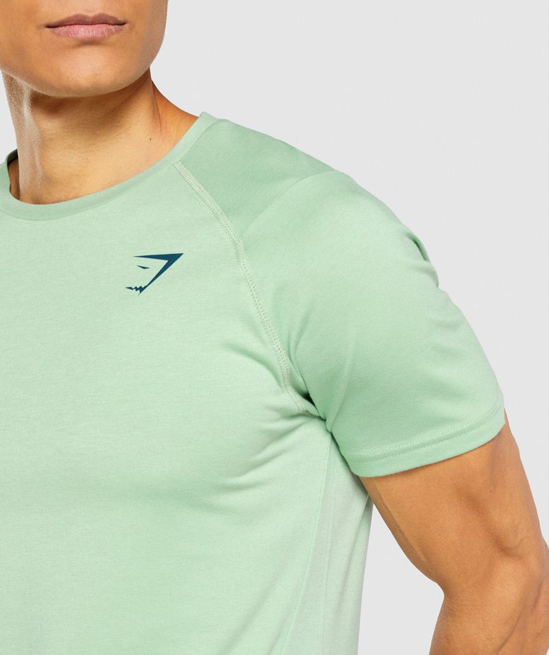 Men's Gymshark Bold T-Shirts Green | USA  4593-NPYUB